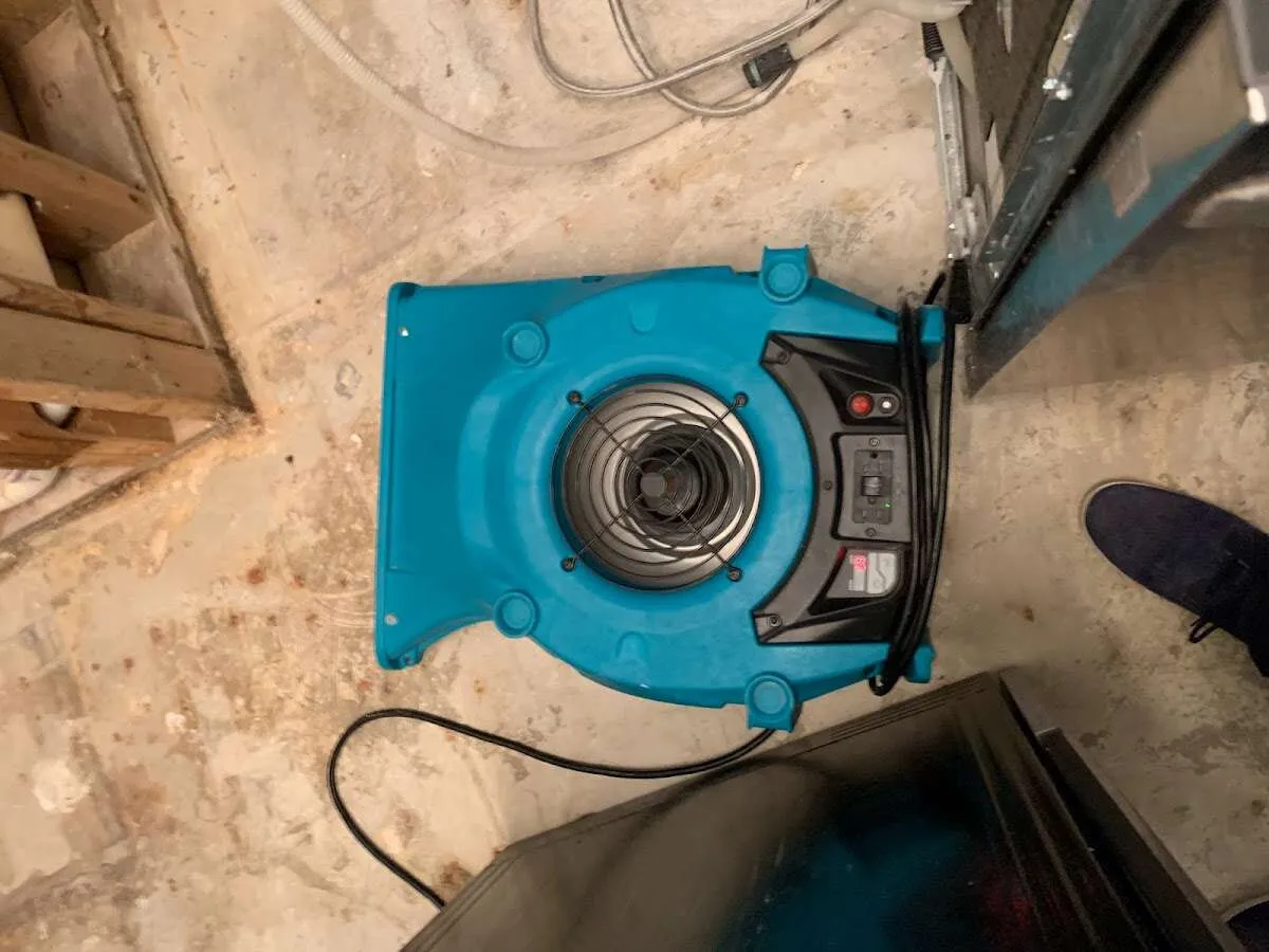 Air mover drying equipment for Mold Remediation & Removal in Bensenville